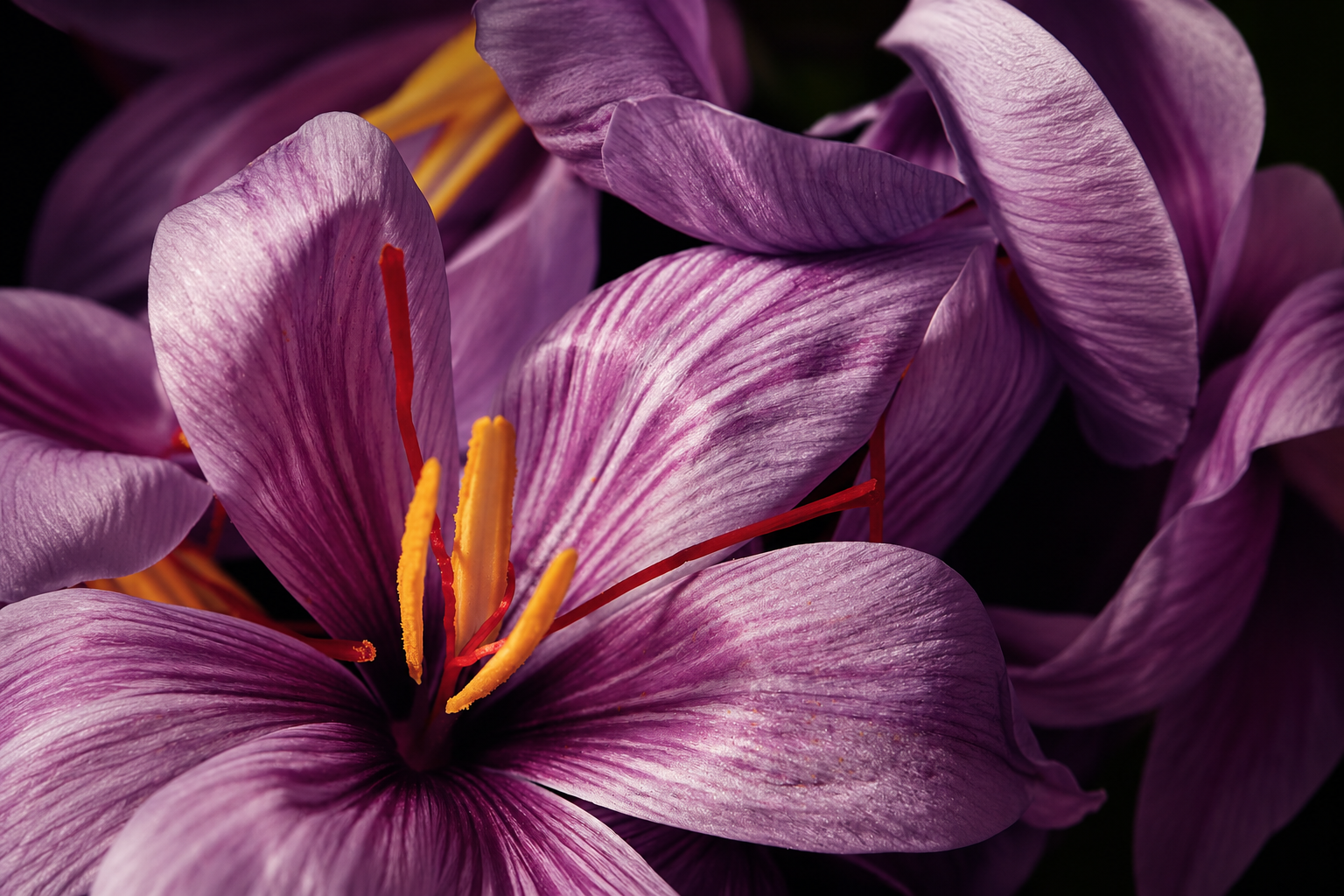 Saffron